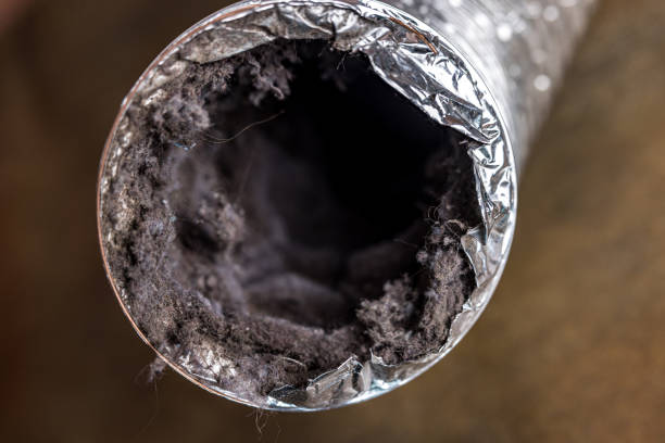  Lepanto, AR Airduct Cleaning Pros
