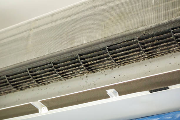 Air Duct Mold Removal in AR