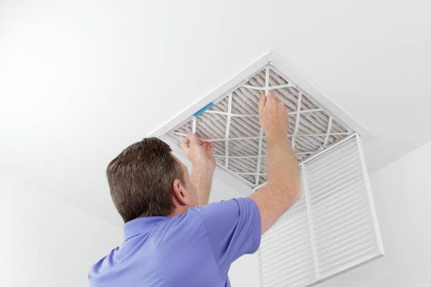Best Affordable Air Duct Cleaning  in Lepanto, AR